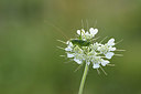 BUITEN BEELD Foto: 327101