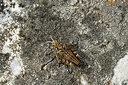 BUITEN BEELD Foto: 327103