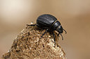 BUITEN BEELD Foto: 327106