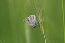 BUITEN BEELD Foto: 327114