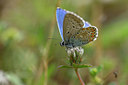 BUITEN BEELD Foto: 327119