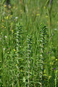 BUITEN BEELD Foto: 327200