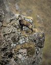 BUITEN BEELD Foto: 327250