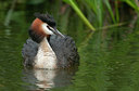 BUITEN BEELD Foto: 327307