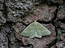 BUITEN BEELD Foto: 327340
