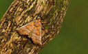 BUITEN BEELD Foto: 327377