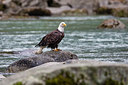 BUITEN BEELD Foto: 327416