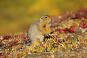 BUITEN BEELD Foto: 327443