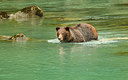 BUITEN BEELD Foto: 327450