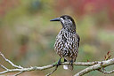 BUITEN BEELD Foto: 327456