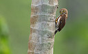 BUITEN BEELD Foto: 327491