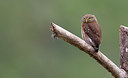 BUITEN BEELD Foto: 327492