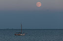 BUITEN BEELD Foto: 327507
