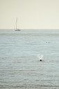 BUITEN BEELD Foto: 327597