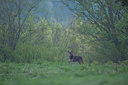 BUITEN BEELD Foto: 327609