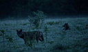 BUITEN BEELD Foto: 327624