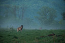 BUITEN BEELD Foto: 327631