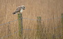 BUITEN BEELD Foto: 327717