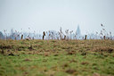 BUITEN BEELD Foto: 327719
