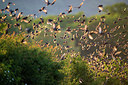 BUITEN BEELD Foto: 327749