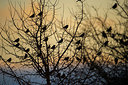 BUITEN BEELD Foto: 327766