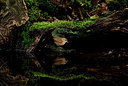 BUITEN BEELD Foto: 327841