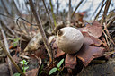 BUITEN BEELD Foto: 327864