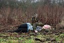 BUITEN BEELD Foto: 327913
