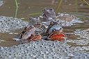 BUITEN BEELD Foto: 328032