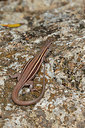 BUITEN BEELD Foto: 328049