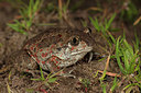 BUITEN BEELD Foto: 328082