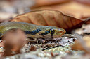 BUITEN BEELD Foto: 328137