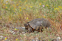 BUITEN BEELD Foto: 328142