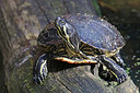 BUITEN BEELD Foto: 328144