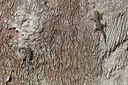 BUITEN BEELD Foto: 328148