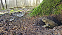 BUITEN BEELD Foto: 328163