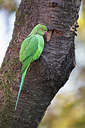 BUITEN BEELD Foto: 328207