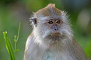 BUITEN BEELD Foto: 328240