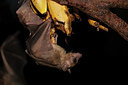 BUITEN BEELD Foto: 328251