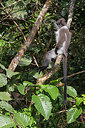 BUITEN BEELD Foto: 328259