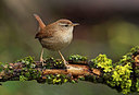 BUITEN BEELD Foto: 328375
