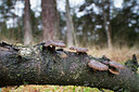 BUITEN BEELD Foto: 328387