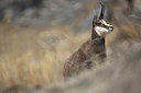 BUITEN BEELD Foto: 328400