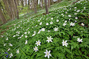 BUITEN BEELD Foto: 328431