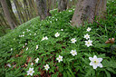 BUITEN BEELD Foto: 328432