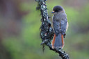 BUITEN BEELD Foto: 328489