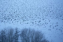 BUITEN BEELD Foto: 328501