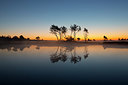 BUITEN BEELD Foto: 328561