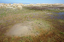 BUITEN BEELD Foto: 328570