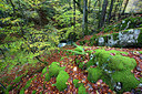 BUITEN BEELD Foto: 328589